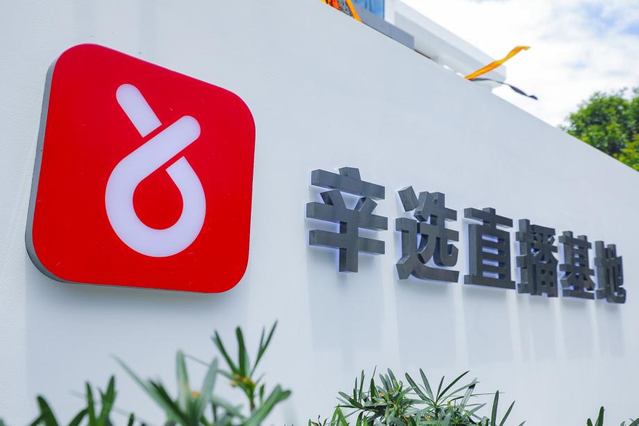 辛巴最新动态，掌握技能与深入了解辛巴的最新消息