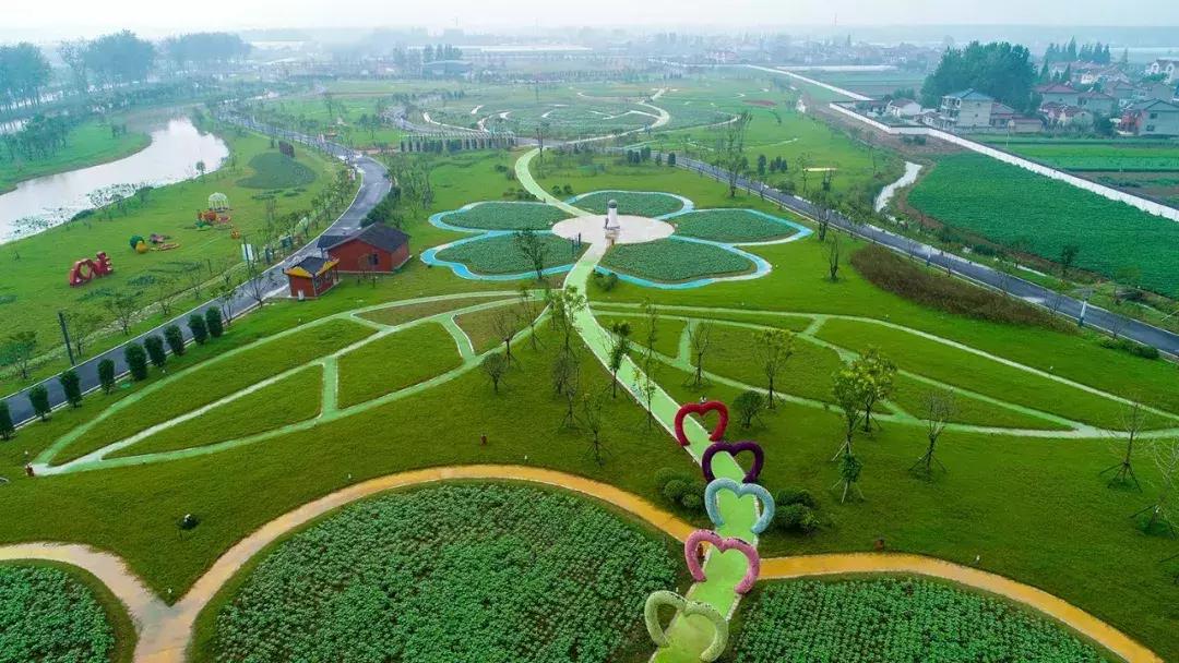 重磅爆料，八卦洲掀起新一轮投资热潮，最新投资项目揭秘！