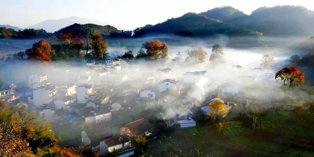 蓝奏吧最新版,自然美景的轻松探索之旅