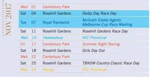 2024新澳精准资料免费提供下载,推动策略优化_界面版MCO99.525