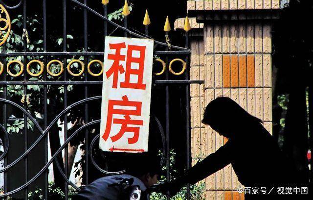 房东退租新规与小巷中的隐藏宝藏探索