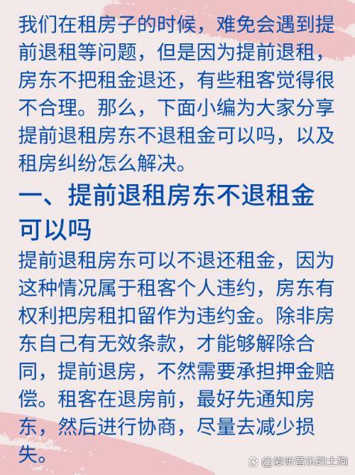 房东退租新规与小巷中的隐藏宝藏探索