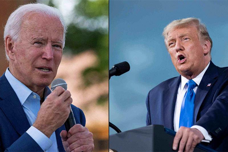 美国大选最新结果揭晓🔥