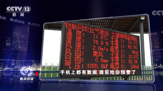 河南中牟最新事件，友情与家的温暖在日常中绽放