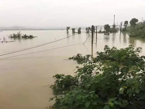 沅江汛情最新动态,江水轻拂下的暖心故事