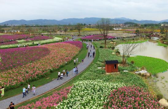 杭州来女最新情况揭秘,新篇章揭晓!