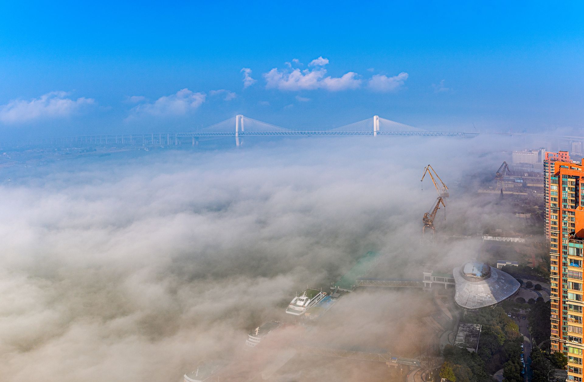 安徽省合肥最新疫情动态与周边自然美景的探索之旅