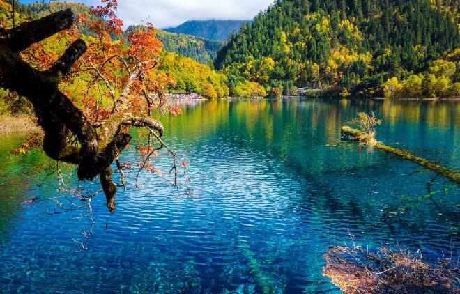 九寨沟门票最新,🌟九寨沟门票最新动态✨🍃自然美景尽在掌握🌄