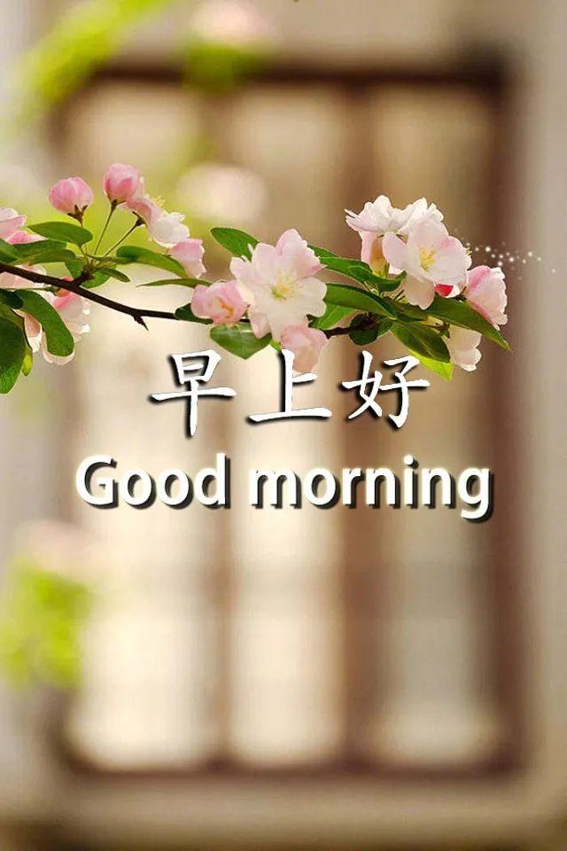 苹果最新版的世代与友情交织的温馨探索之旅，关于苹果几代的问题解答