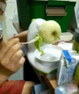 苹果最新版的世代与友情交织的温馨探索之旅,关于苹果几代的问题解答