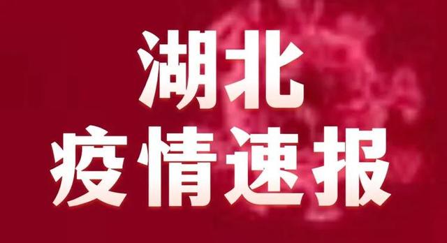 胡北疫情最新情况更新，最新动态与概况
