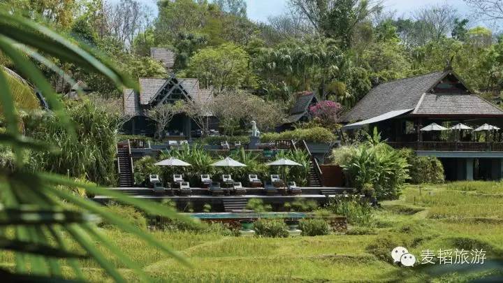 皇岗中学绿意之旅，探索自然美景的最新篇章揭秘