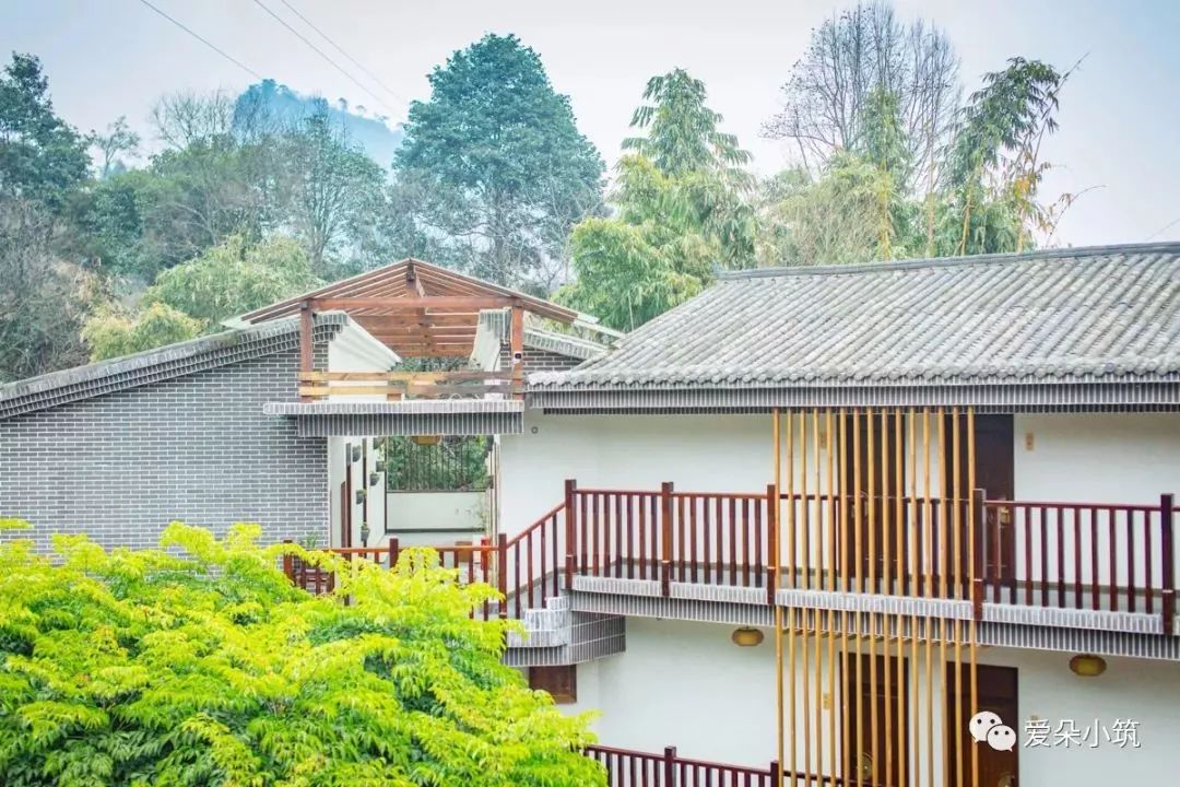 皇岗中学绿意之旅,探索自然美景的最新篇章揭秘