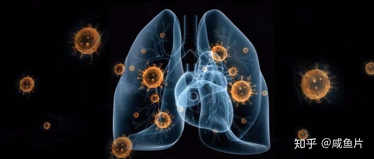 最新冠状新型病毒的信息,最新冠状新型病毒的信息，背景、进展与全球影响