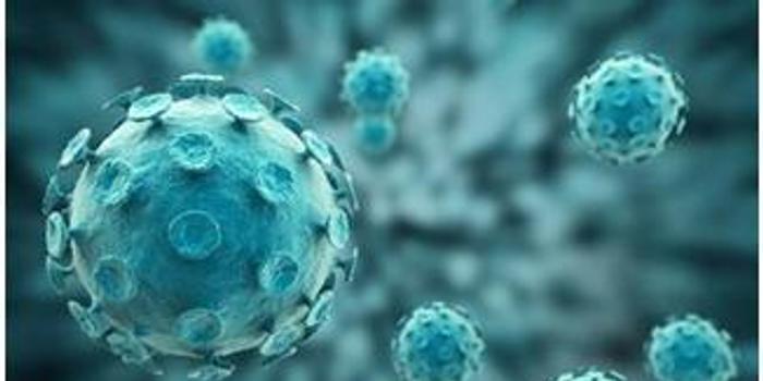 最新冠状新型病毒的信息,最新冠状新型病毒的信息,背景、进展与全球影响