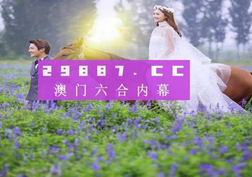 香港免费资料王中王资料,全面数据策略实施_高级版29.558-7