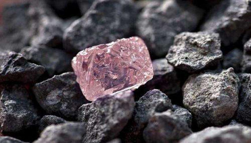 铁矿石最新突破进展揭秘，铁矿奇旅与温情纽带