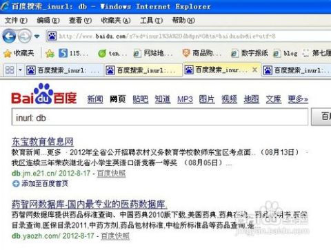 2024新澳门正版免费资料,实地验证执行数据_网页版196.289-4
