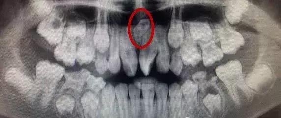 蜜牙最新网址,开启温馨的友情之旅