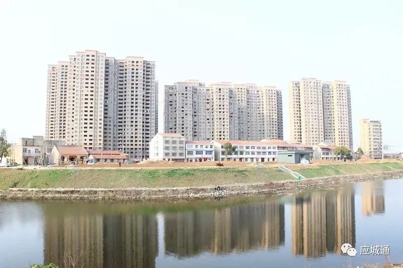 应城租房最新动态，市场趋势与热点解读