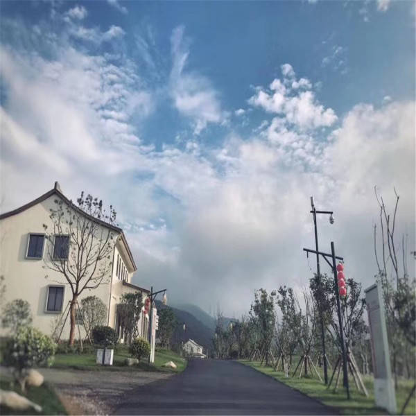 今天晚9点30开正确生肖,实践解析说明_V78.569-4