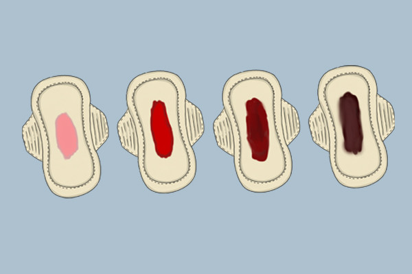 大姨妈最新版,深度解析女性健康管理工具