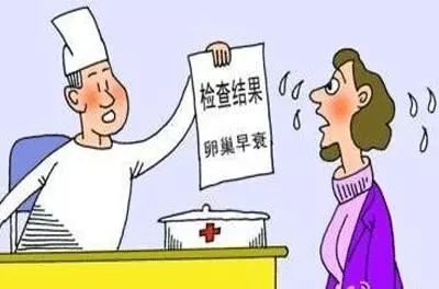 大姨妈最新版,深度解析女性健康管理工具