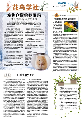 正版老鼠报资料,实践评估说明_桌面款4.636-8