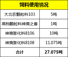 新澳天天免费资料单双大小,高速方案解析响应_运动版91.364-2