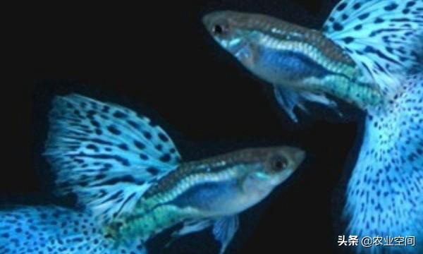 运城盐湖最新动态，揭秘奇妙日常