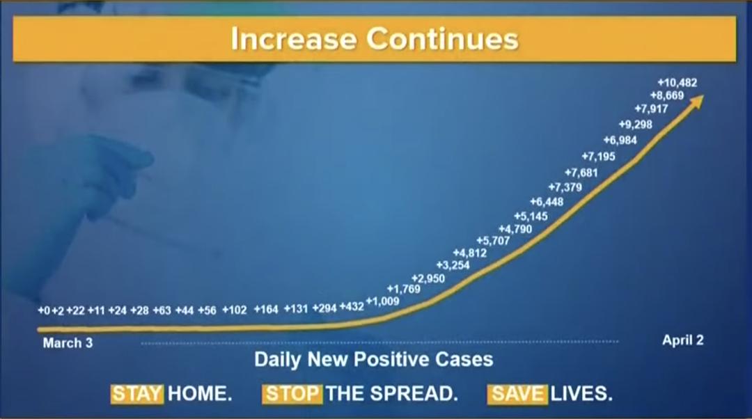 纽约疫情最新动态与步骤指南,从初学者到进阶用户的全面解析