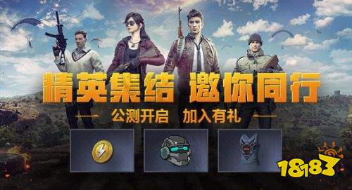 和平精英最新上线新皮肤,深度解析与体验分享