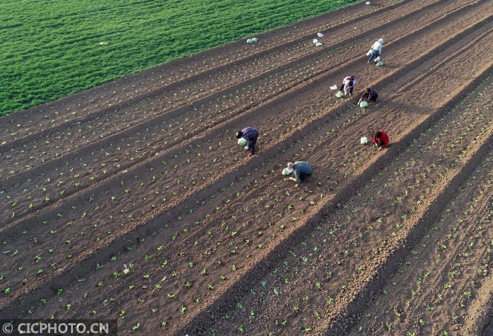 平乡县最新疫情通告，疫情动态更新，防控措施升级