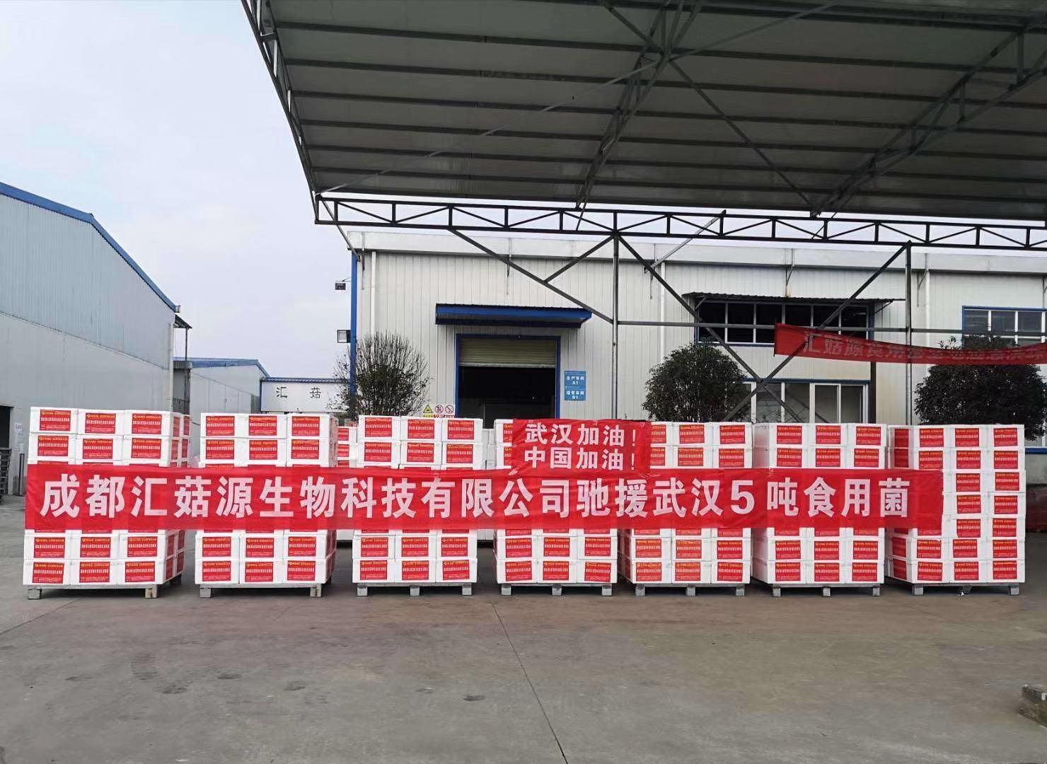 郫都区最新疫情数据,郫都区最新疫情数据背后的故事,小巷深处的独特风情与隐藏的美食宝藏