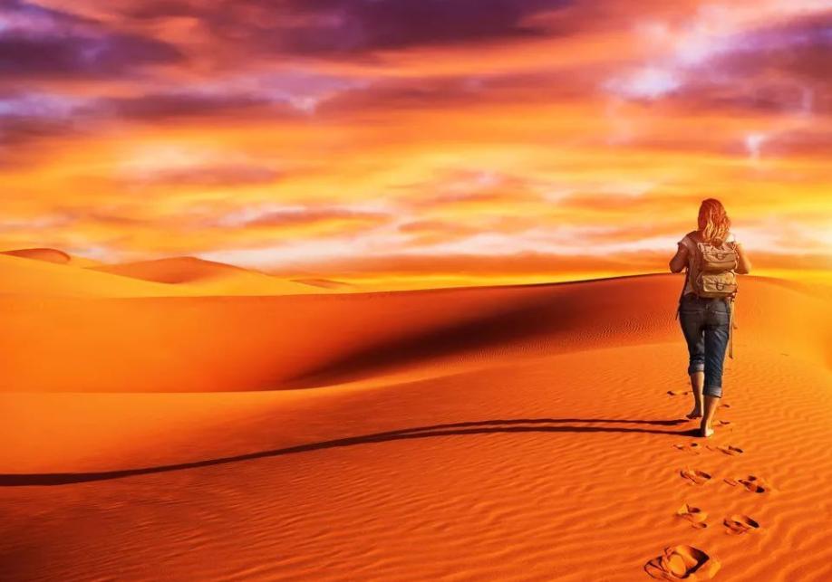 今年苹果的最新款,今年苹果的最新款,带你探索自然美景,寻找内心的平和