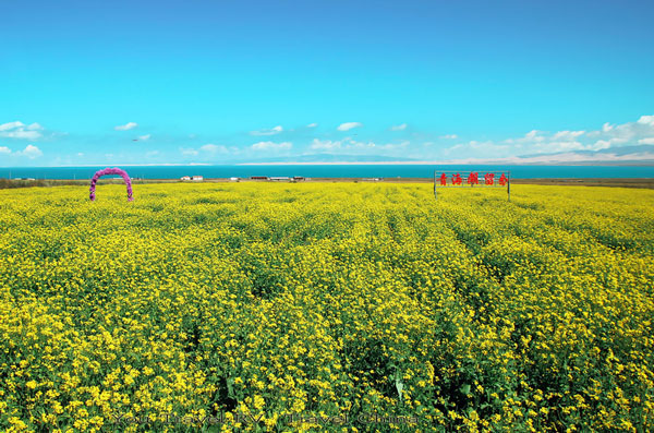 LED显示屏厂家 第582页