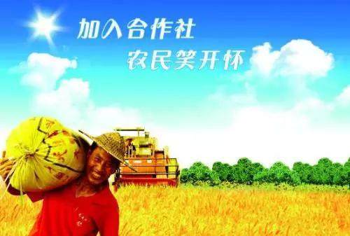 最新合作社经营模式，探索与实践之路