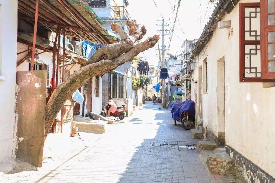 人民日报报道,小巷深处的独特风味——一家隐藏版特色小店的传奇故事