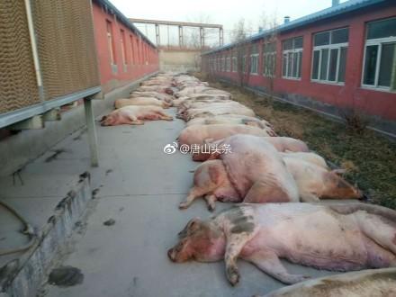 贞硕商显智能科技 第585页