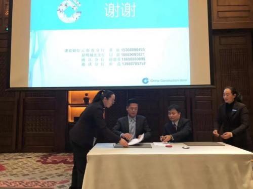 云顶之弈最新阵容探索自然美景的冒险之旅