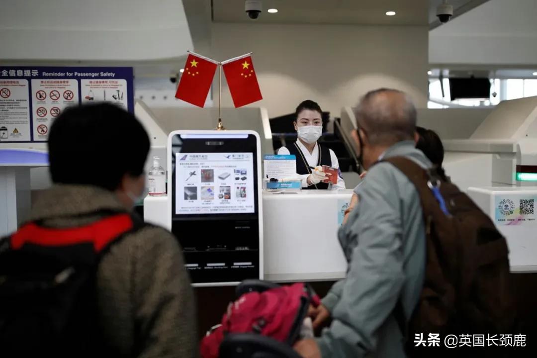 巴西新冠死亡人数最新更新，一个日常故事中的温情与希望