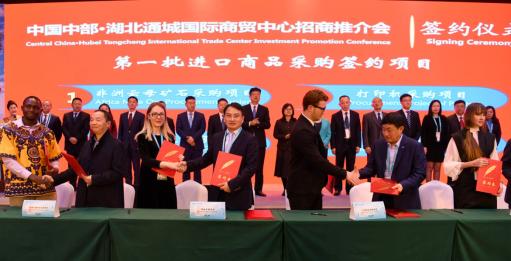 通城万雅国际最新状况深度解析与观点阐述