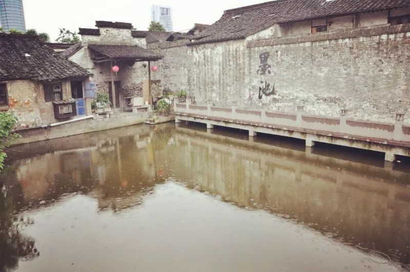 绍兴市最新任命与小巷深处的独特风味探秘揭秘