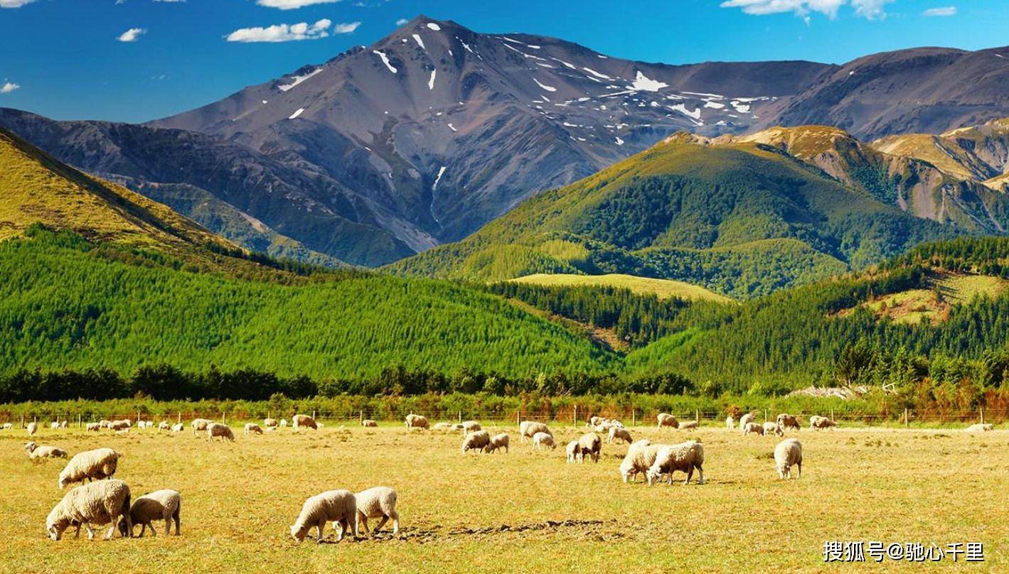 新西兰移民政策更新，探索自然美景，开启内心宁静之旅