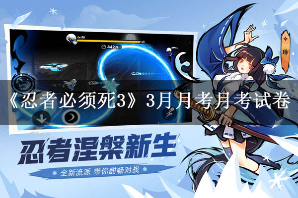 忍3月考最新分析与进阶探讨,从入门到进阶的全面解读