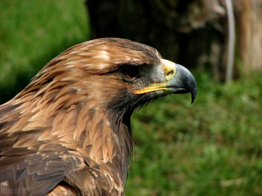 商丘LED显示屏维修 第571页