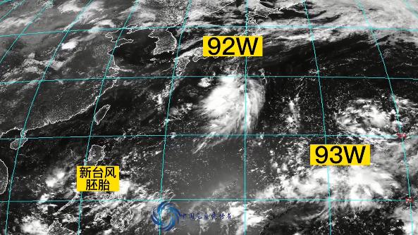 温州市台风最新动态更新，实时信息汇总