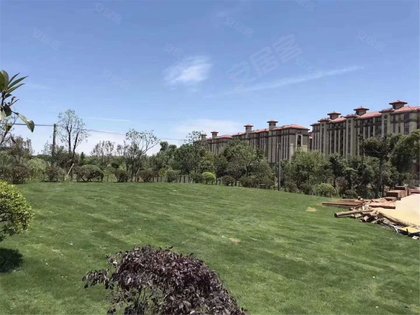 湖畔首府最新动态，时代瞩目下的焦点之地