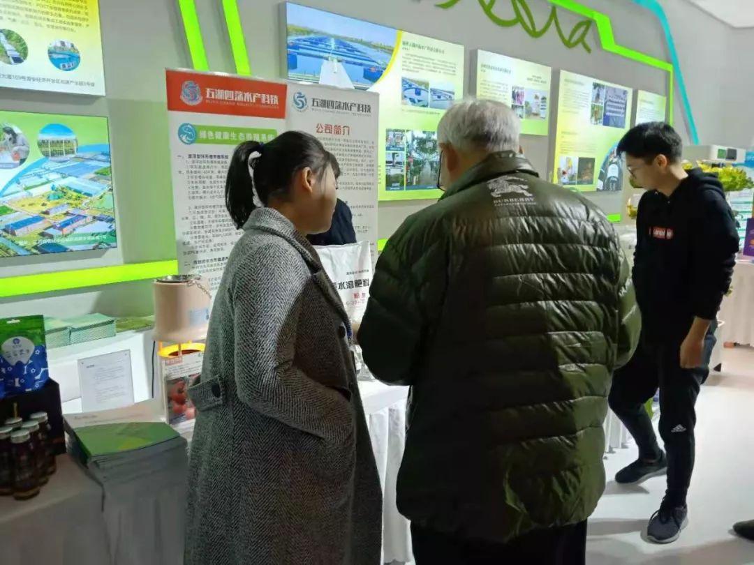 创业最新版本，时代浪潮下的新机遇与挑战探索之路