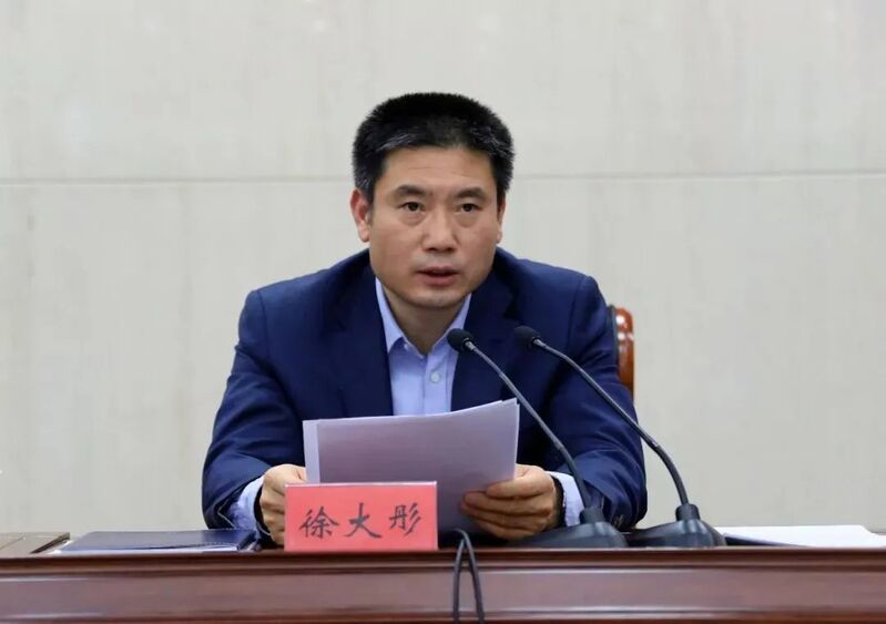 徐大彤最新任职揭秘,多维度探析与观点阐述